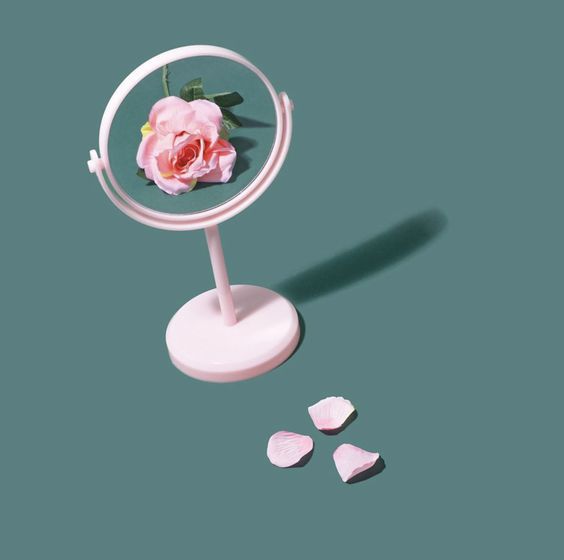 Rosa com pétalas caídas