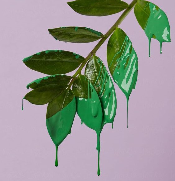 mindfulness e calmaria