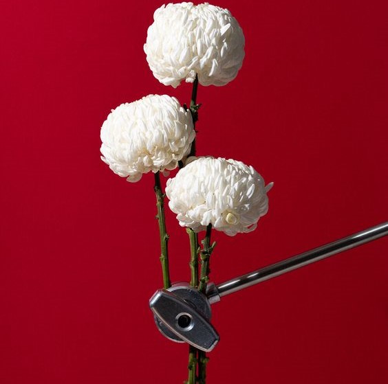 ciúmes é porque ama?