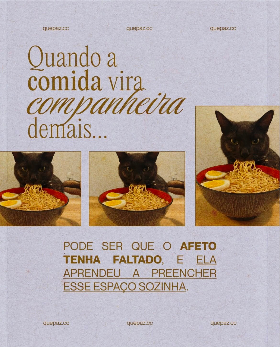 QuePaz no Instagram